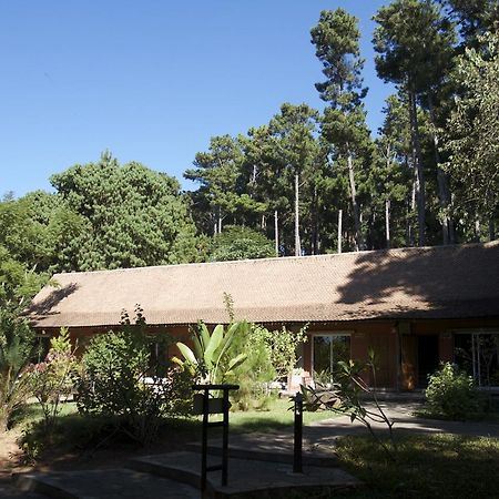 Hotel Lodge Au Bois Vert Antananarivo International Airport Ivato Ngoại thất bức ảnh